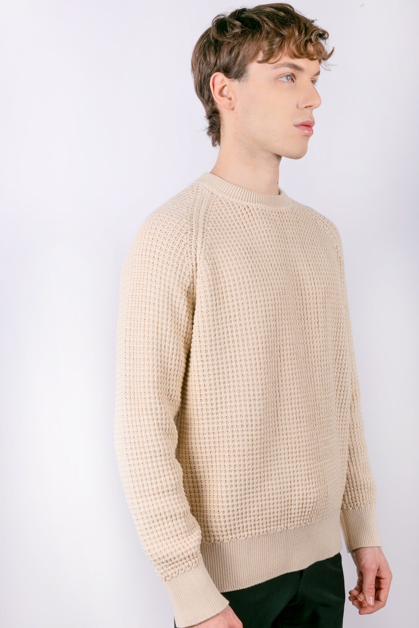 Natural color crew neck sweater in pure cotton